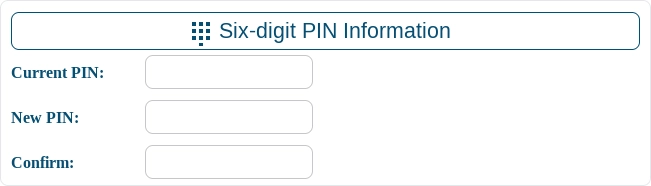 Screenshot of the PIN Information Section